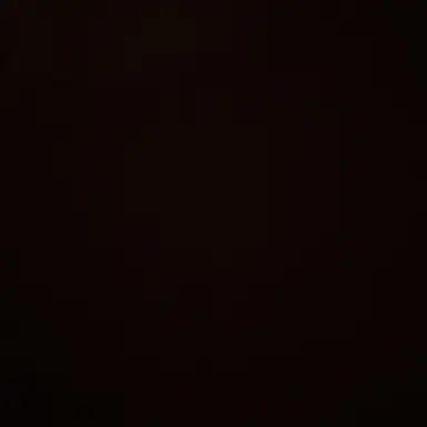 Profile image of M