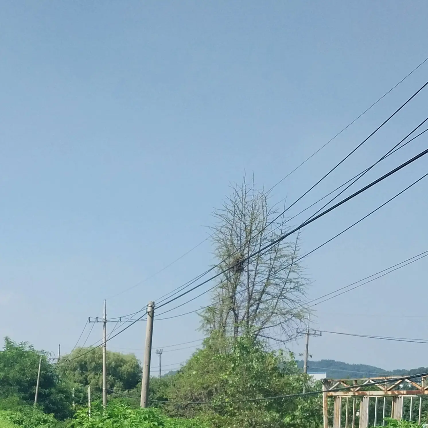 Hi_1010의 나경