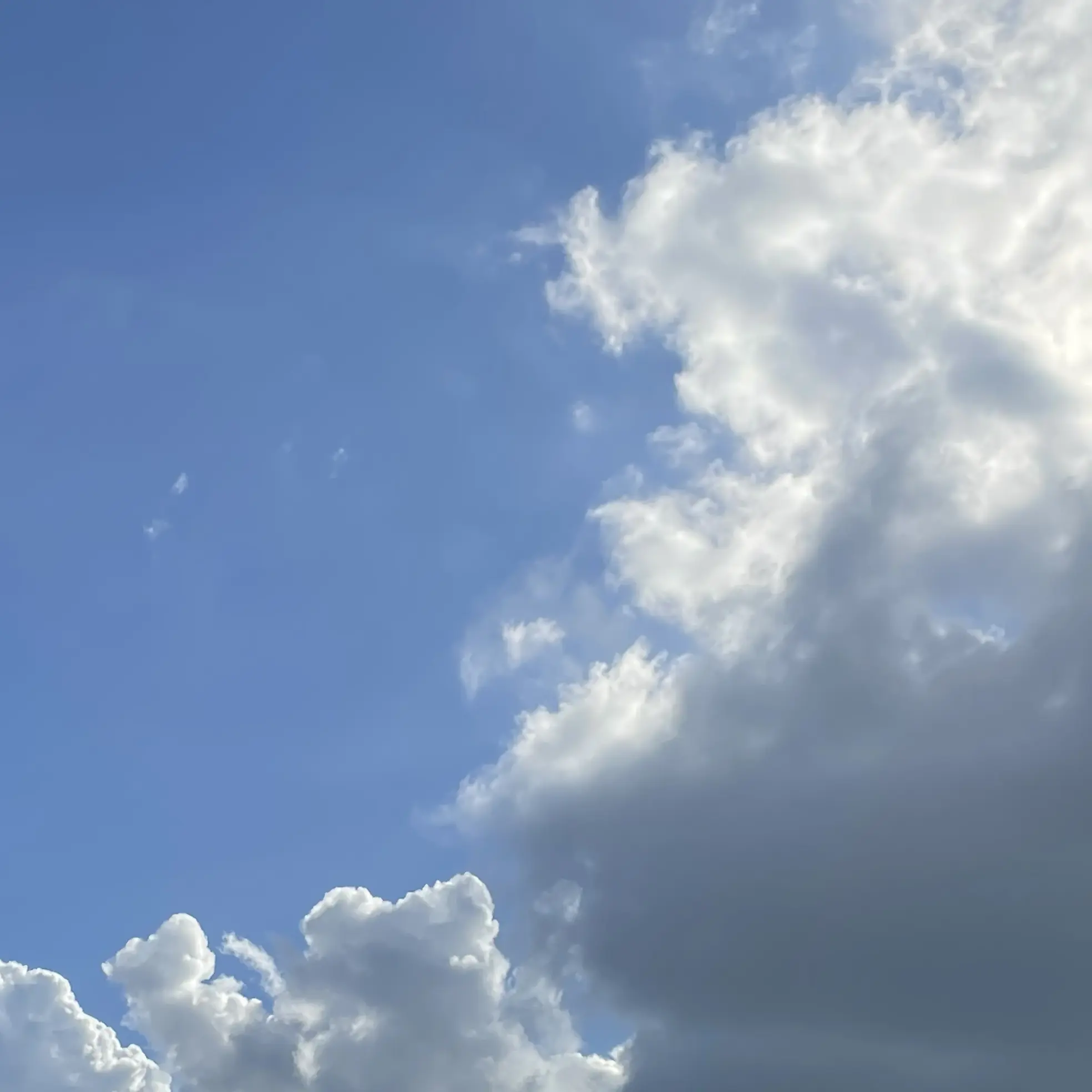 PurelyCloud4583의 송 별