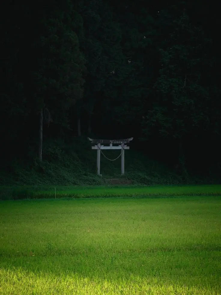 Not_my_fault의 幼なじみ