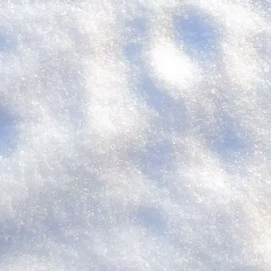 Profile image of 스노