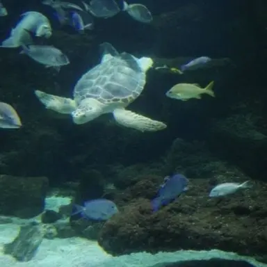 Profile image of 잠뜰