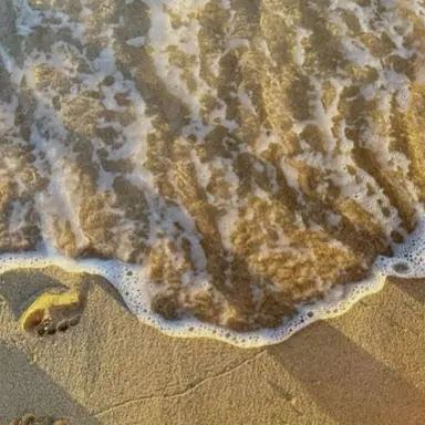 Profile image of 각별