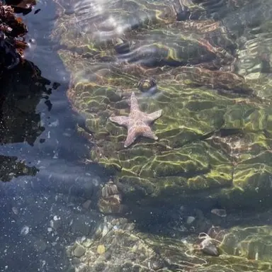 Profile image of 공룡