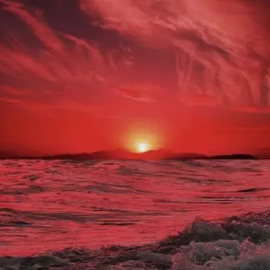 Profile image of 라더