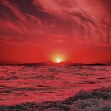 WittyTorch9352의 파도의 색은 파랑이 아니야