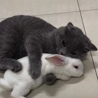 Profile image of 황수현