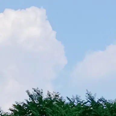 Profile image of 고고프렌즈의 멤버