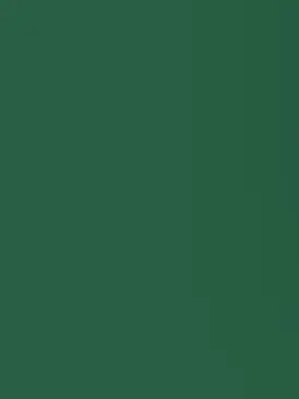 umisaaan.251의 ドキドキが止まらない。