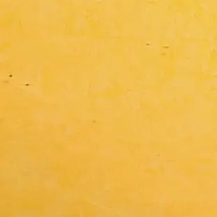 Profile image of 모양몬