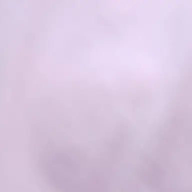 Profile image of 아름