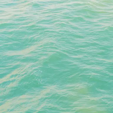 Profile image of 우유참치