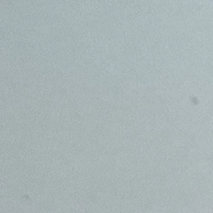 김동현