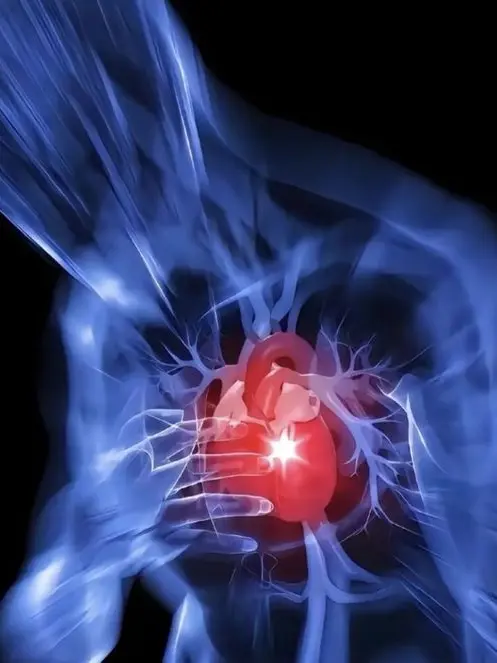 BitterSoap6122의 Heart rate