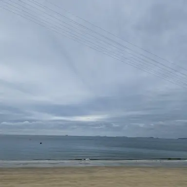 Profile image of 고고프팀나빠 대저댁