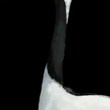 Profile image of 학 선인