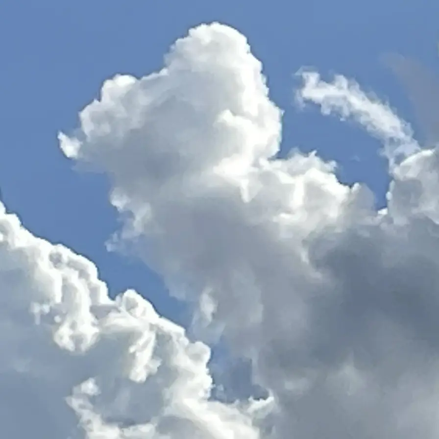 PurelyCloud4583의 남주혁