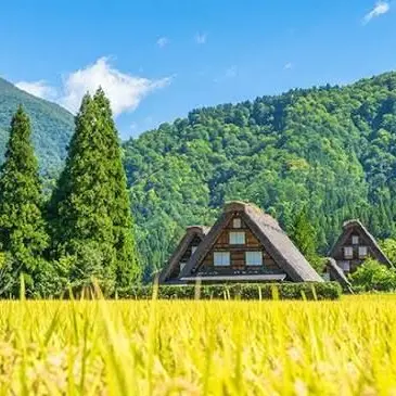 Profile image of Countryside Group
