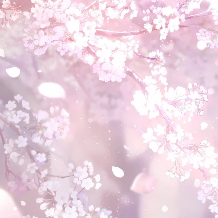 잭