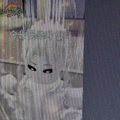 Profile image of 하얀색의 아이