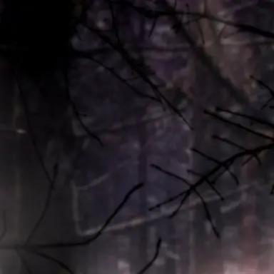 Profile image of 맴버3