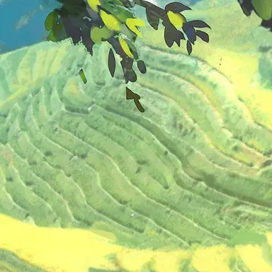 Profile image of 멤버1