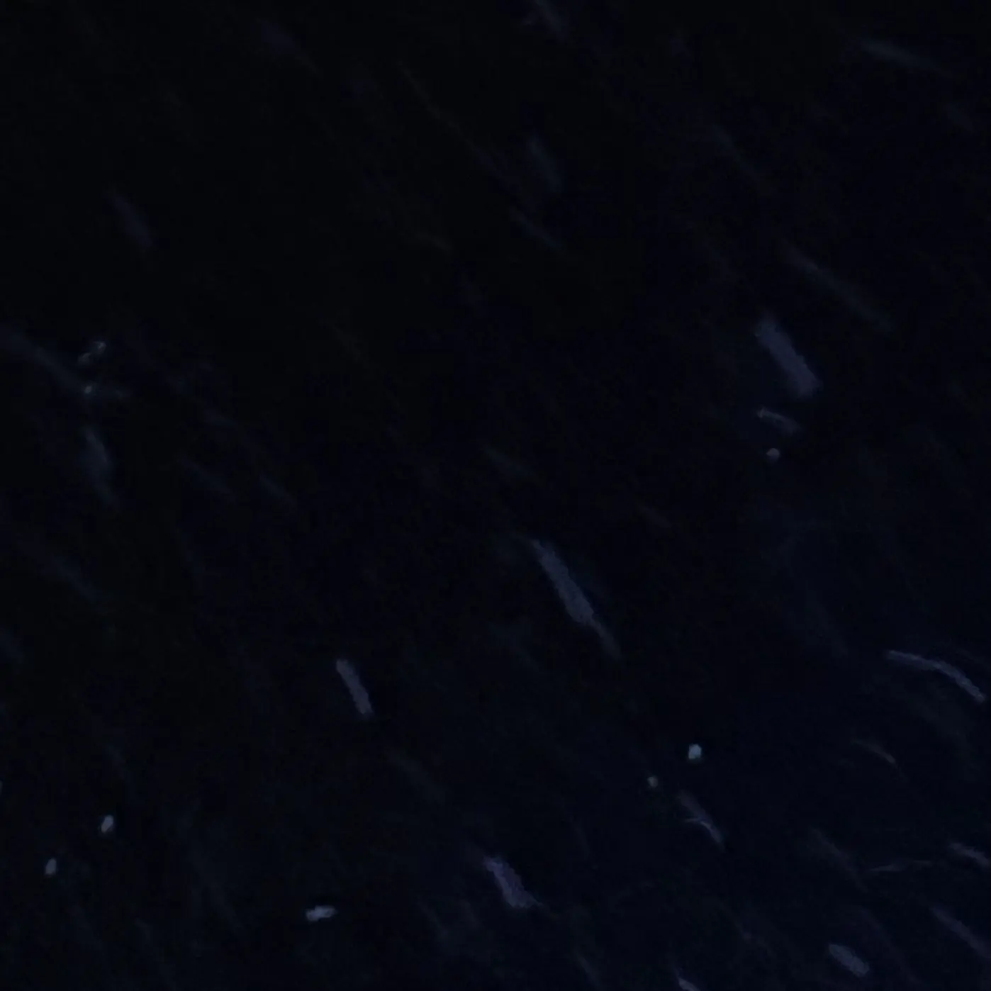 GGGGUUUU의 조성현