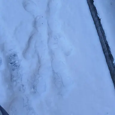 Profile image of 논