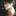 유은호