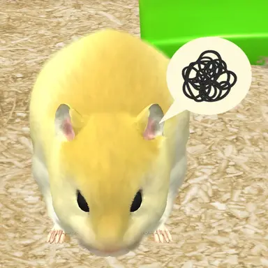 Profile image of 최원재