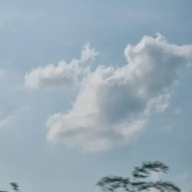 Profile image of 서은