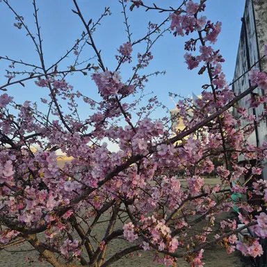 Profile image of 팀나빠