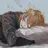 伏見ガク