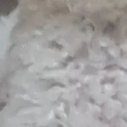 Profile image of 동우