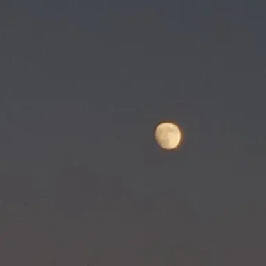 Profile image of 각별