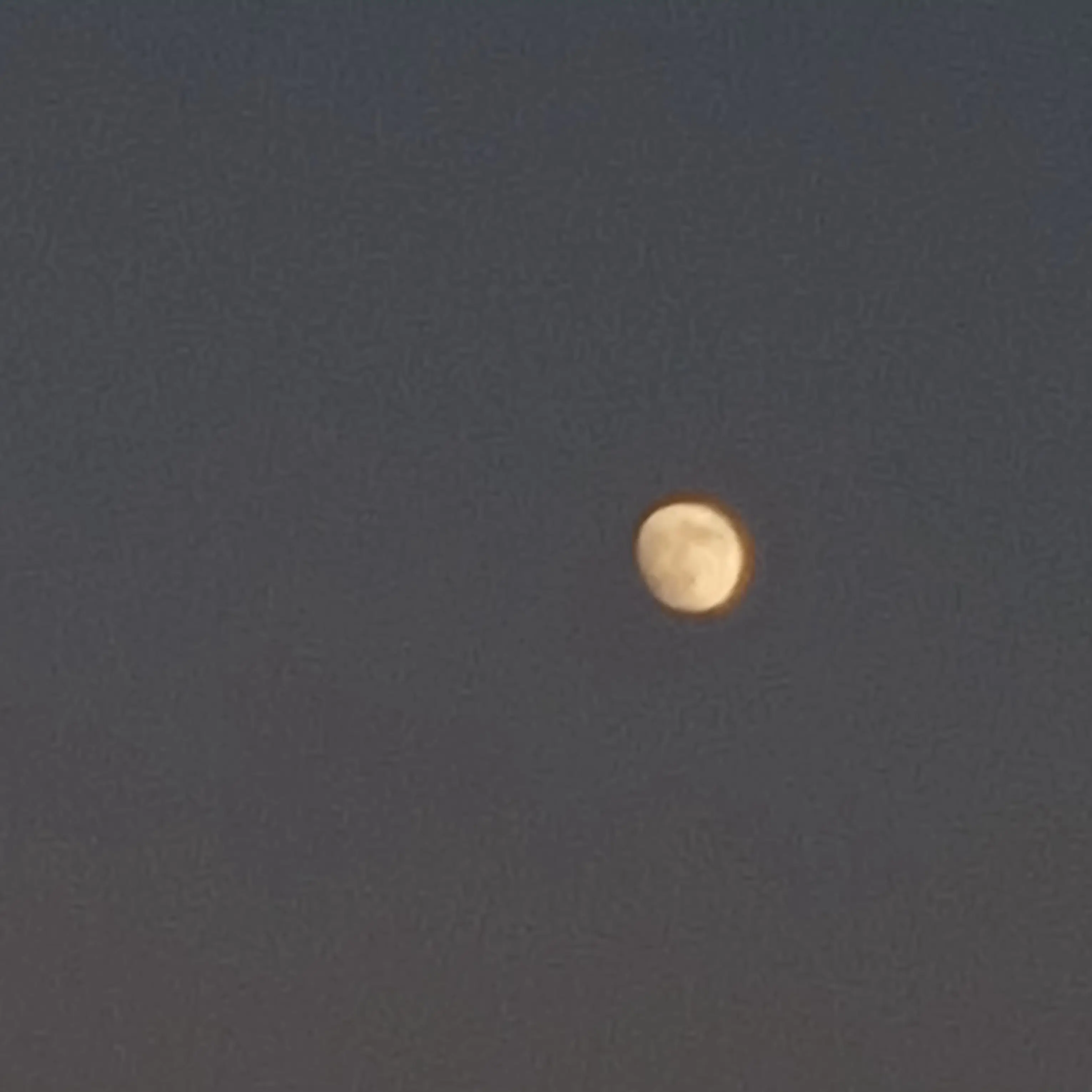 Persephoneia의 각별