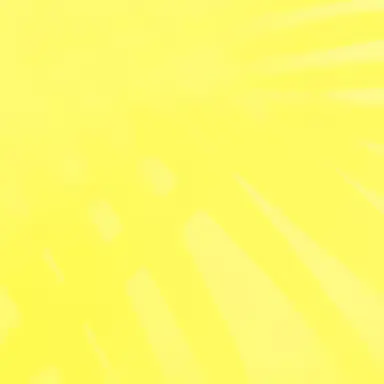 Profile image of 天來らいむ