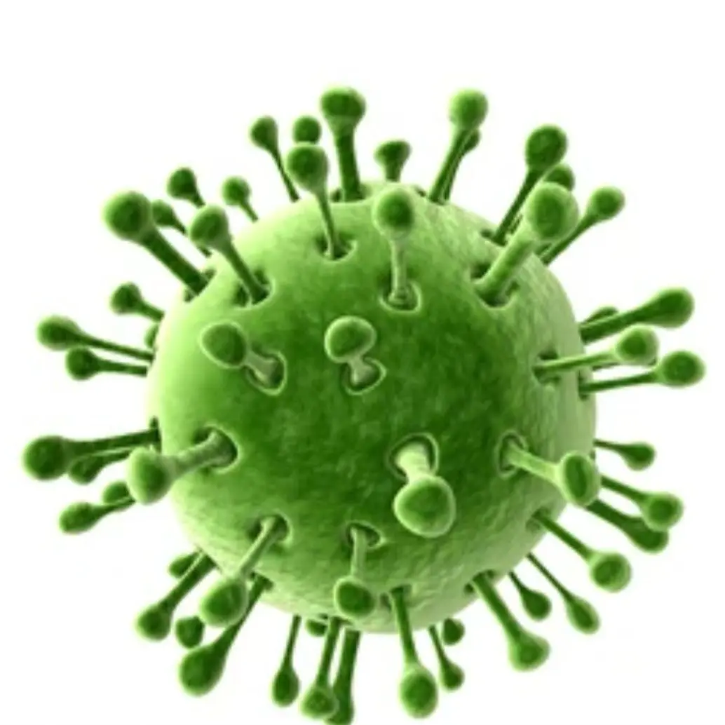 SnappyTrack9513의 여자 바이러스