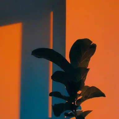 Profile image of 코마