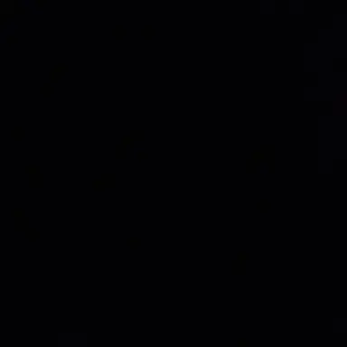 Profile image of 박 성 호