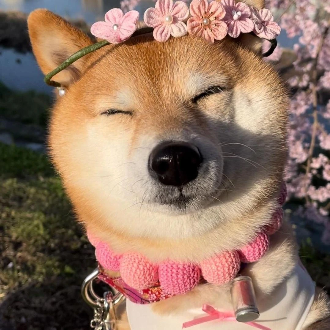 복꺄