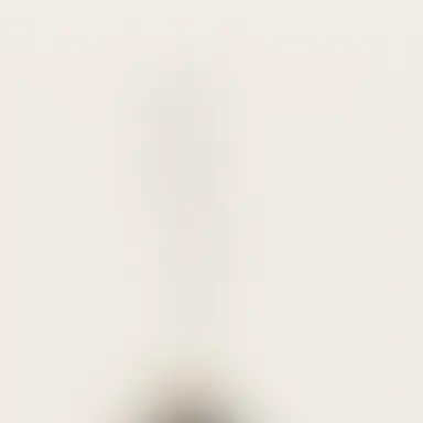 Profile image of 日向