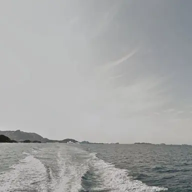 Profile image of 로보 프로스터