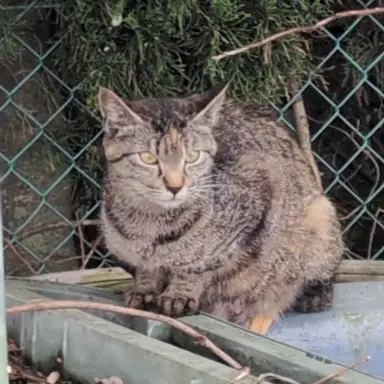 Profile image of モブ3