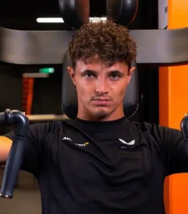 Profile image of Lando Norris