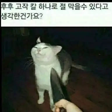 Profile image of 직원들