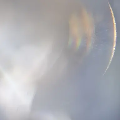 Profile image of 정지한