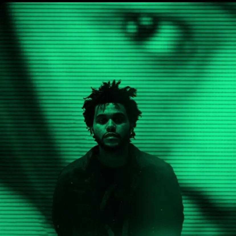 CasualIbis1564의 Abel