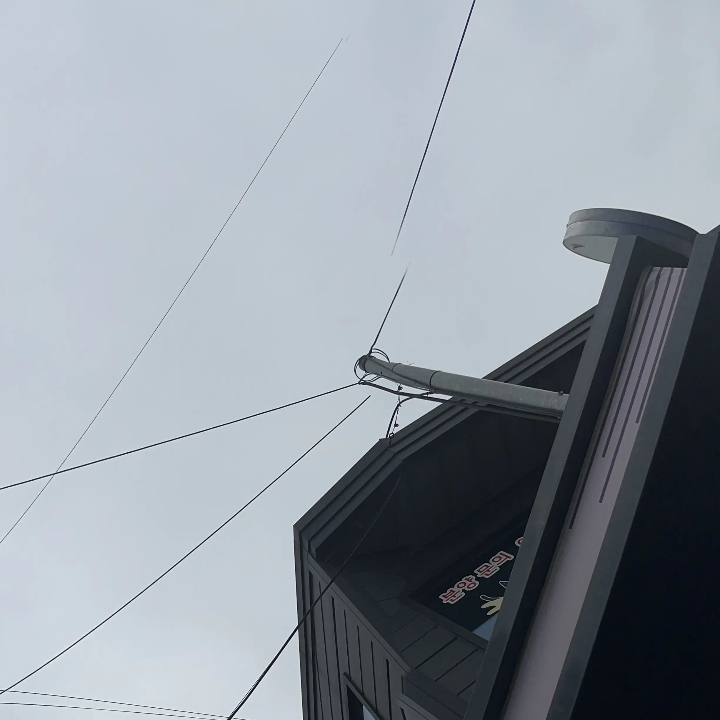 MauveMop2696의 아가 키우기