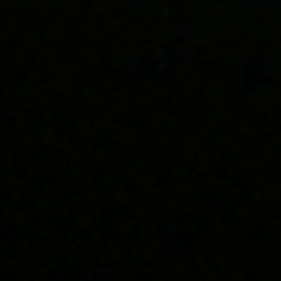 김이한